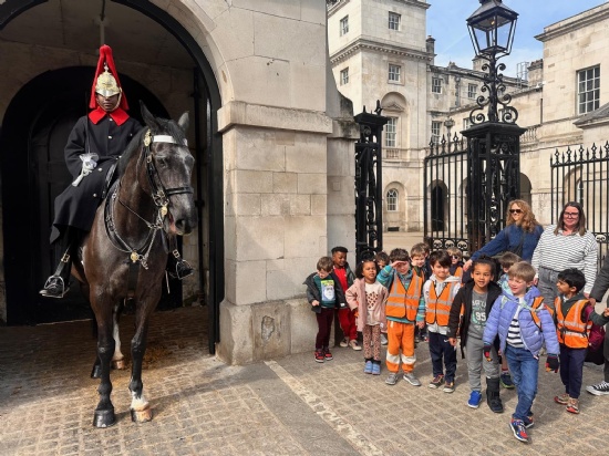 Buckingham Palace, Changing of the Guards and a Pelican
