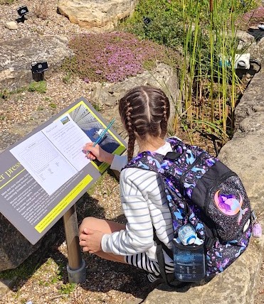 Whole School Newsletter 10 06 26