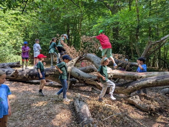 Year 4 Camping Adventure!
