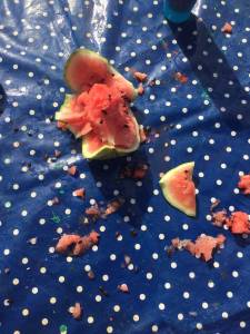 watermelon-022