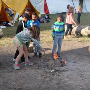 y4-camping-2015-178